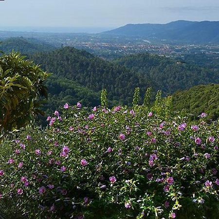 Il Viandante Bed and Breakfast Santo Stefano di Magra Εξωτερικό φωτογραφία