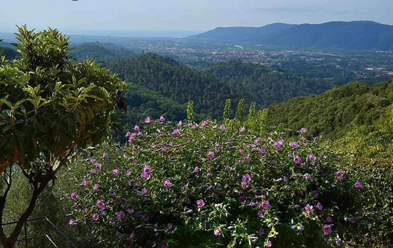 Il Viandante Bed and Breakfast Santo Stefano di Magra Εξωτερικό φωτογραφία